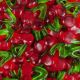 Sweetzone Twin Cherries 1Kg Bulk Bag